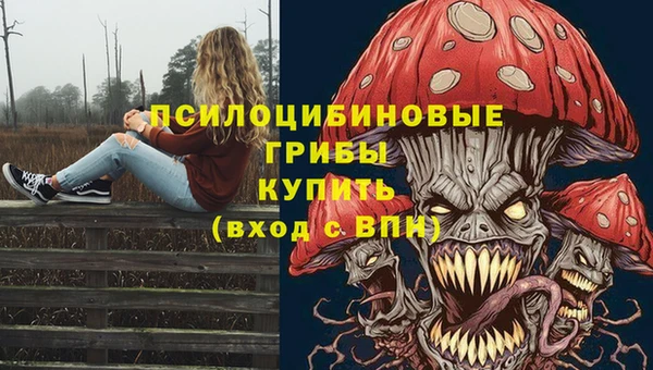 амфетамин Алексин