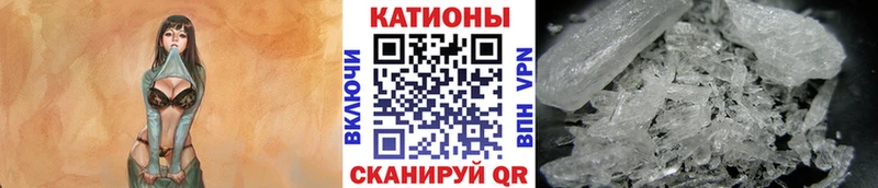 МЯУ-МЯУ мяу мяу  ОМГ ОМГ   Бобров  сколько стоит 
