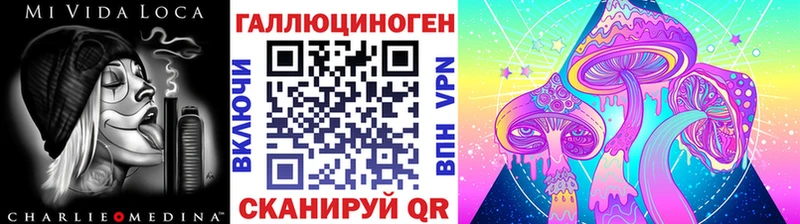 Галлюциногенные грибы Psilocybine cubensis Бобров